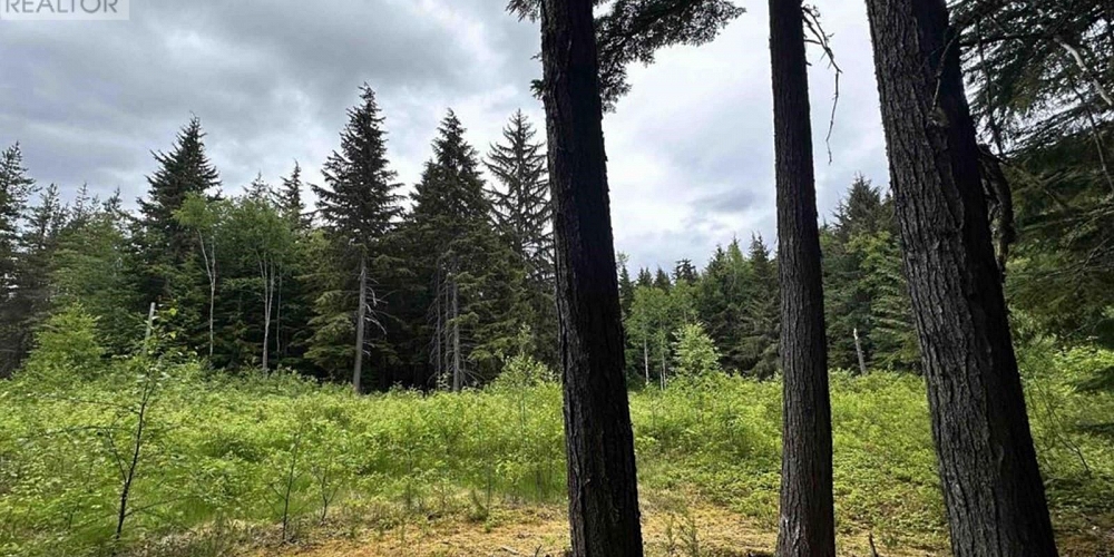 LOT C KALUM LAKE ROAD Terrace Photo 4 LOT C KALUM LAKE ROAD Terrace Photo 4